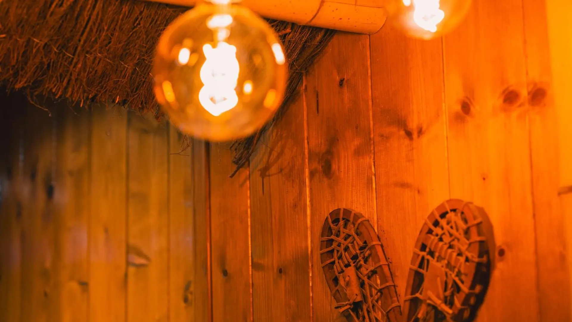 Appartamento Le Chalet Loft And Spa Villeurbanne