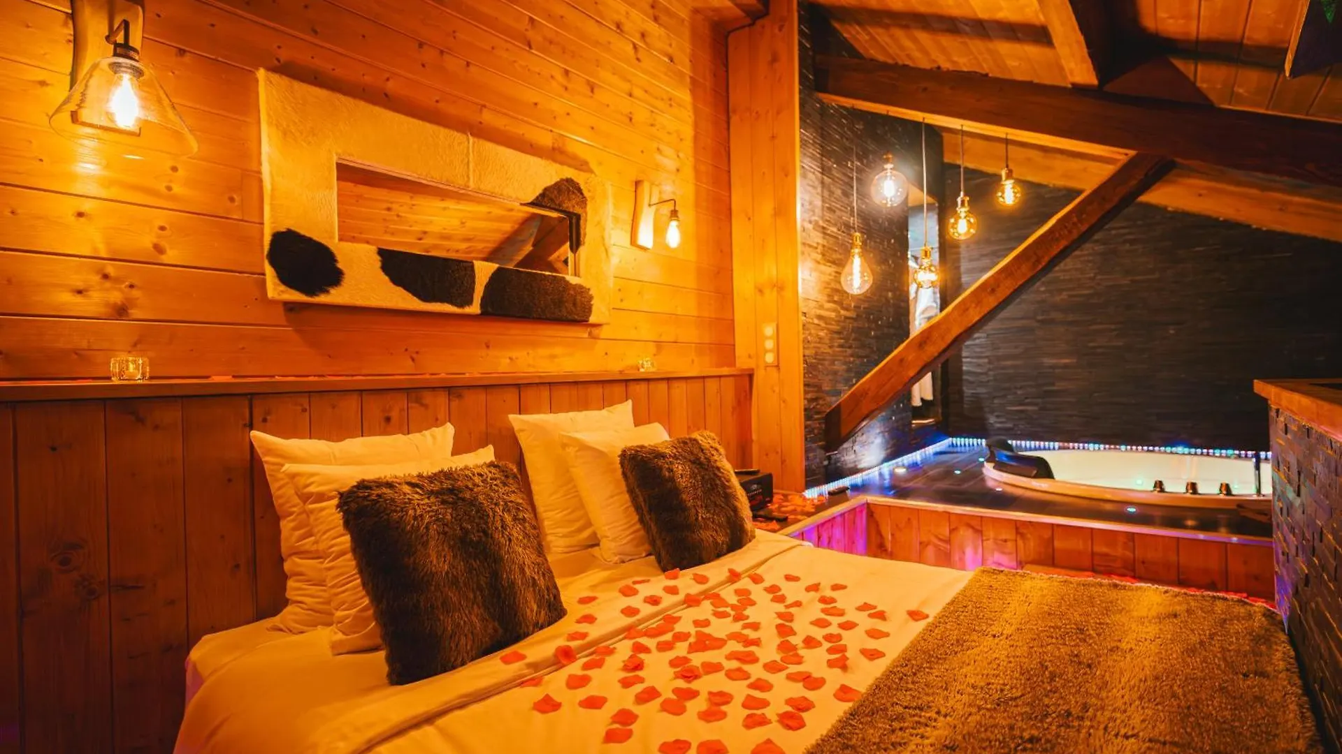 Le Chalet Loft And Spa Villeurbanne Francia