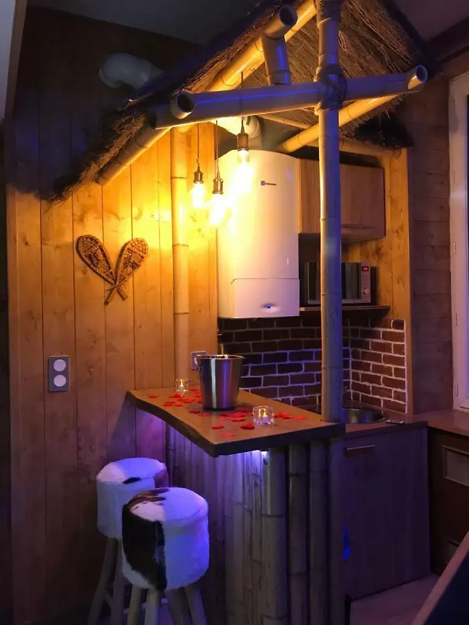 Appartamento Le Chalet Loft And Spa Villeurbanne Francia